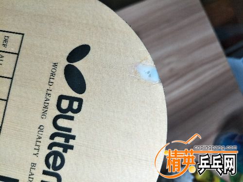 IMG20170531004834.jpg