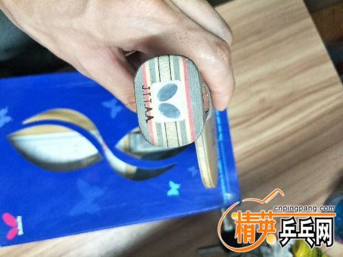 IMG20170531004827.jpg