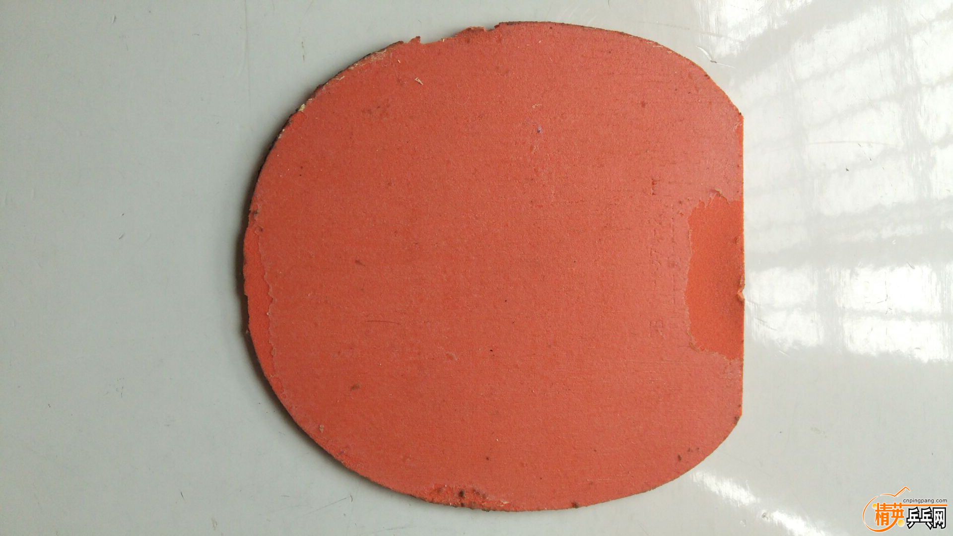 07FCFADC22E7FAF6FABDBDEBE923C008.jpg