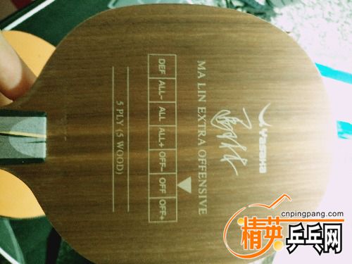 IMG_20170522_090403.jpg