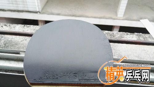 IMG_20170603_093858.jpg