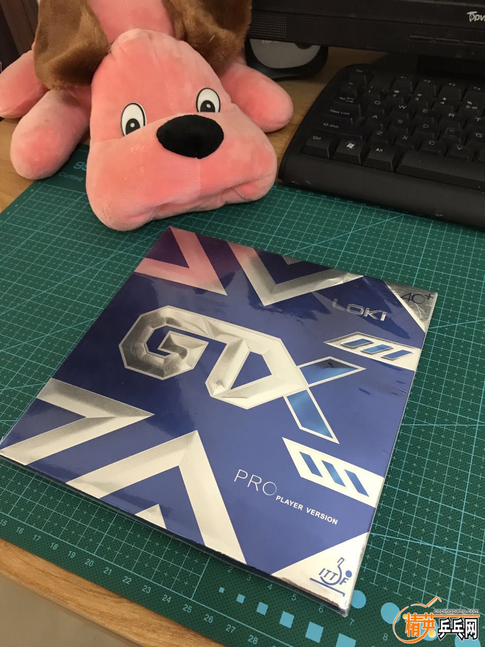 50581124.jpg