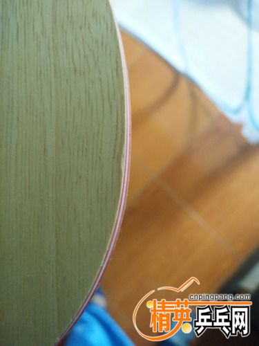 IMG20170605084527.jpg