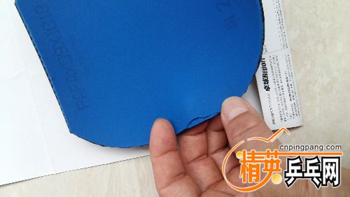 20170606_121210.jpg