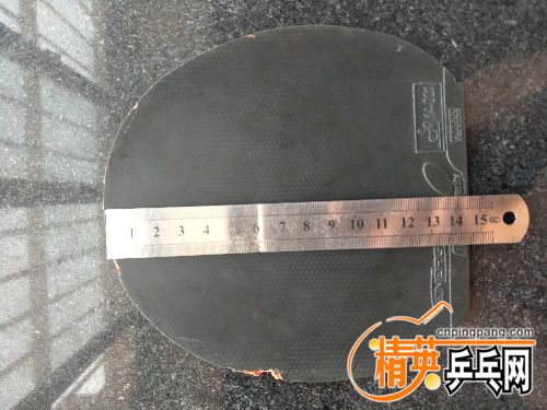 IMG20170610081552.jpg