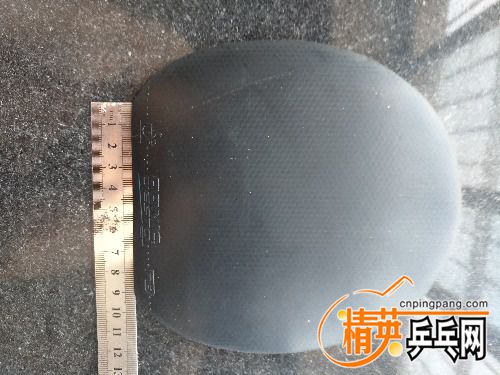 IMG20170610080637.jpg