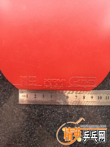 IMG20170610080835.jpg