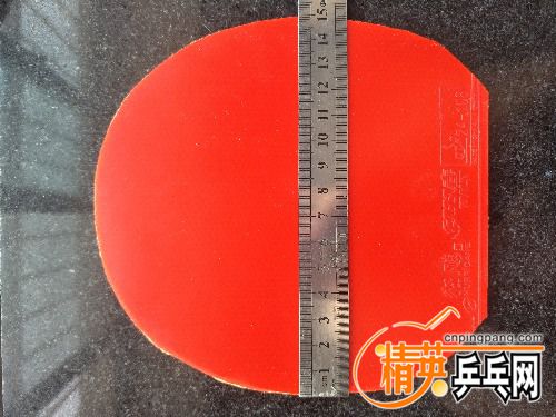 IMG20170610080949.jpg