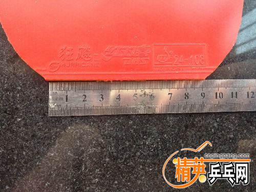 IMG20170610081016.jpg