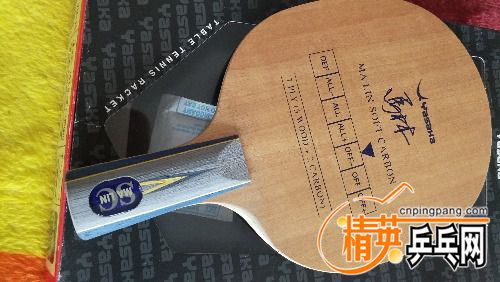 IMG_20170611_130819.jpg