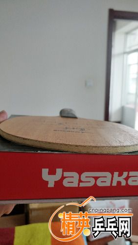 IMG_20170611_130905.jpg
