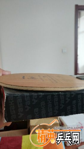 IMG_20170611_130912.jpg