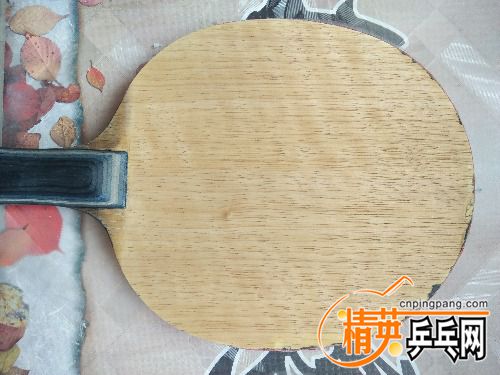 IMG20170609115750.jpg