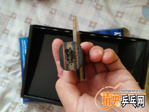 IMG20170611135628.jpg