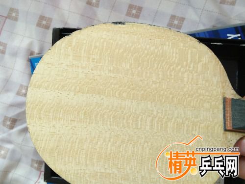 IMG20170611135616.jpg