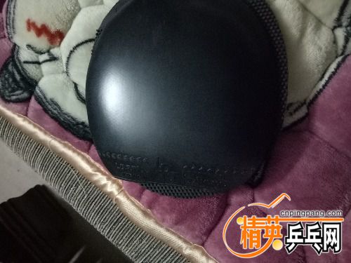 IMG20170610235624.jpg