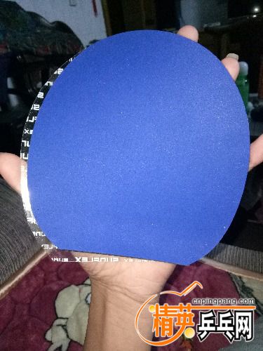 IMG20170610235521.jpg