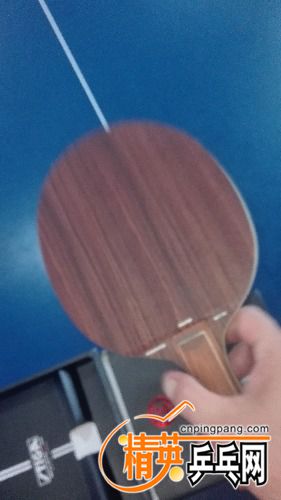 IMG_20170609_132102.jpg