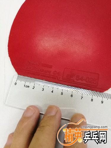 IMG_20170608_083220.jpg