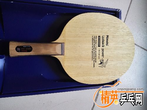 IMG_20170613_083845.jpg
