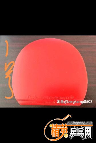 1497323518402.jpg