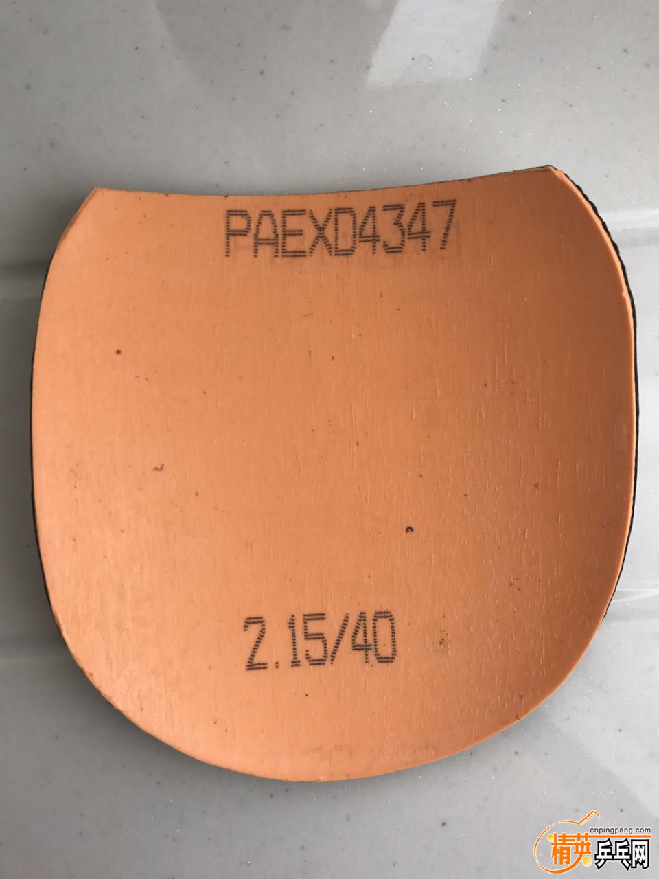 1183884578.jpg