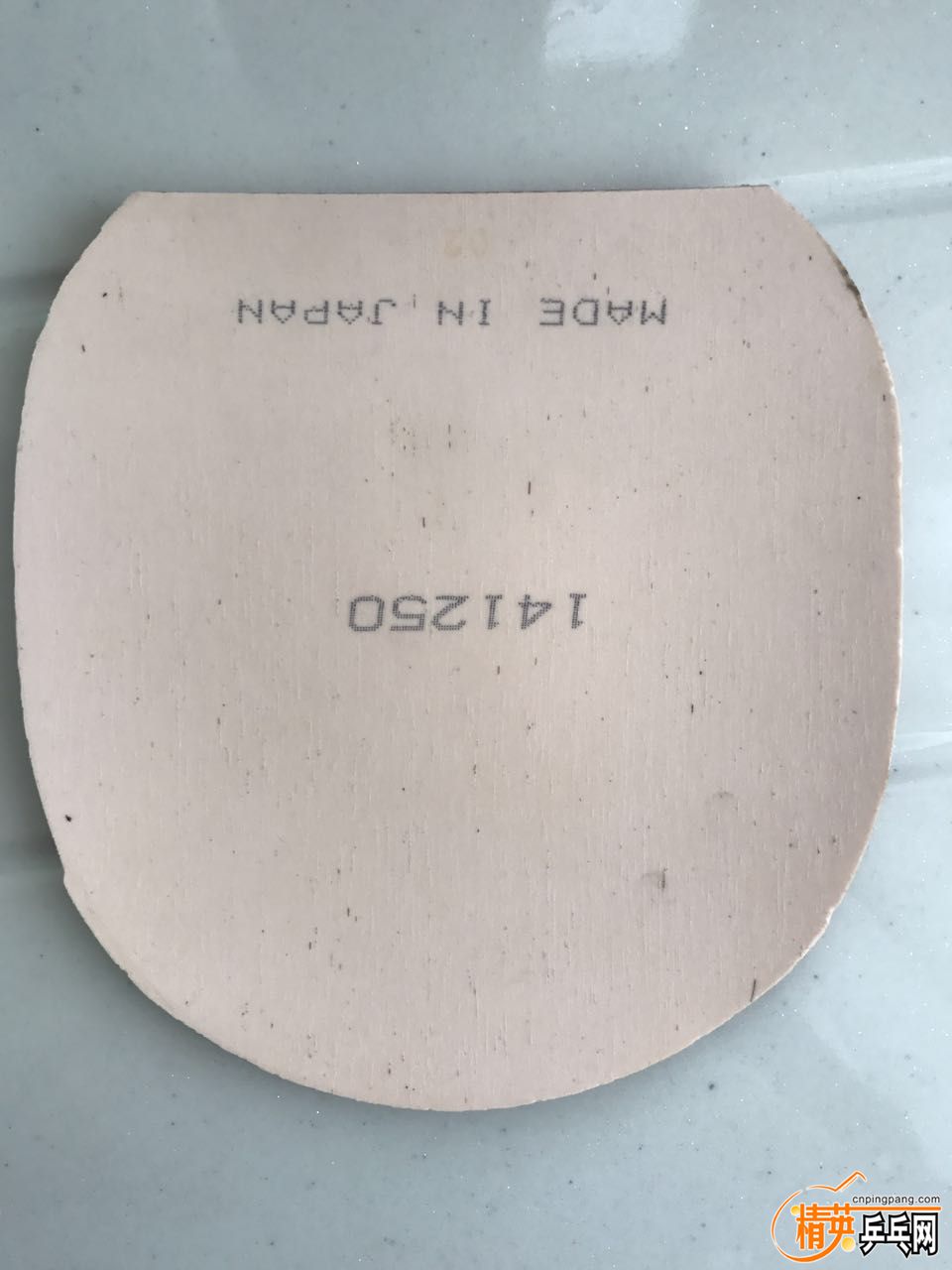225499033.jpg