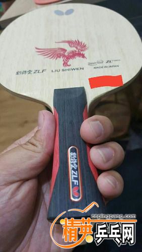 mmexport1497323145107.jpg