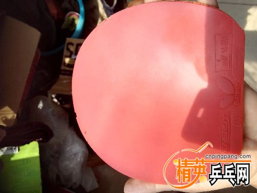 IMG_20170615_100735.jpg