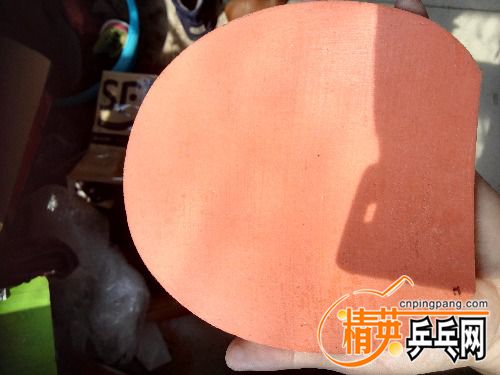 IMG_20170615_100743.jpg