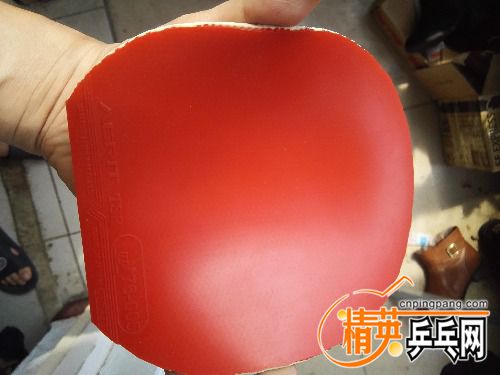 IMG_20170615_101059.jpg