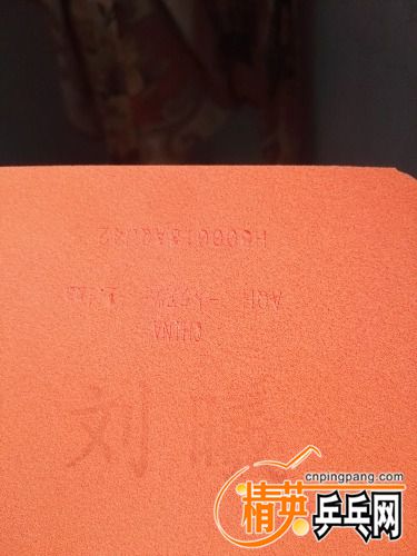 IMG_20170615_111157.jpg