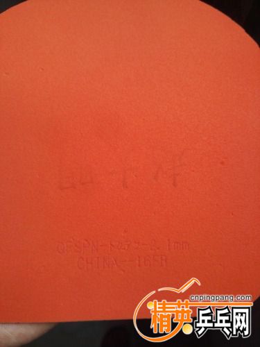 IMG_20170615_111933.jpg