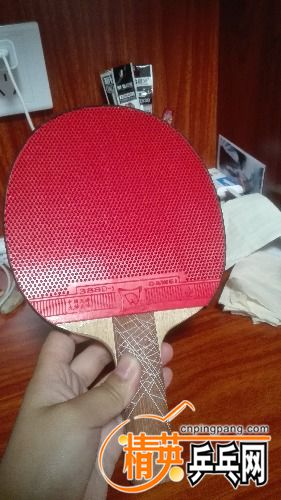 IMG_20170615_213835.jpg