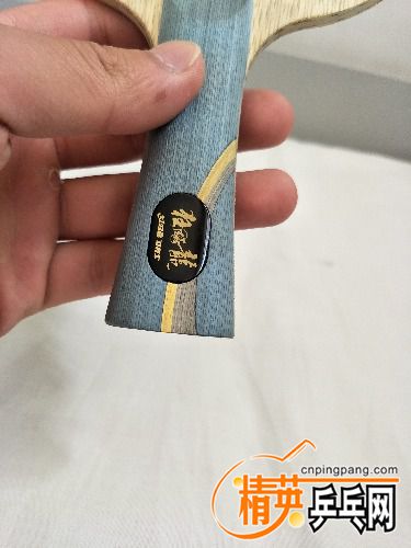 IMG20170619102039.jpg