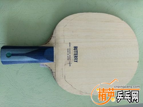 IMG_20170620_092850.jpg