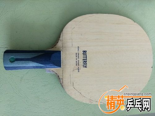 IMG_20170620_092854.jpg