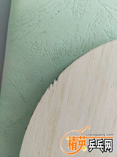 IMG_20170620_093012.jpg