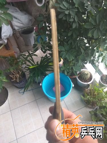 IMG_20170312_152400.jpg
