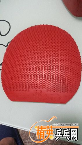 20170620_214450.jpg
