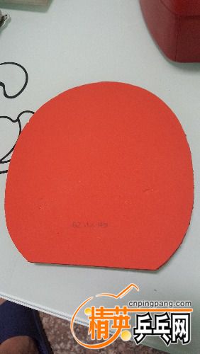 20170620_214436.jpg