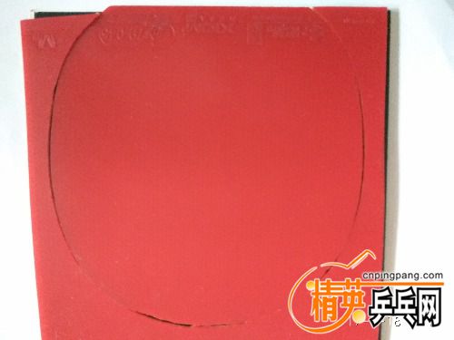 IMG_20170618_151321.jpg