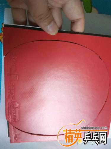 IMG_20170618_151341.jpg