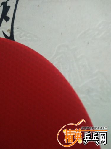IMG20170623001814.jpg