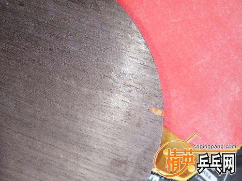 IMG_20170625_082203.jpg