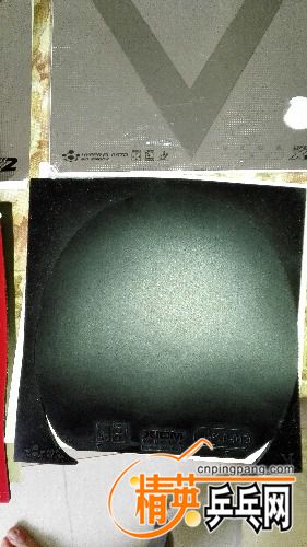 IMG_20170625_161339.jpg