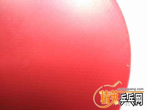 IMG_20170625_101414.jpg