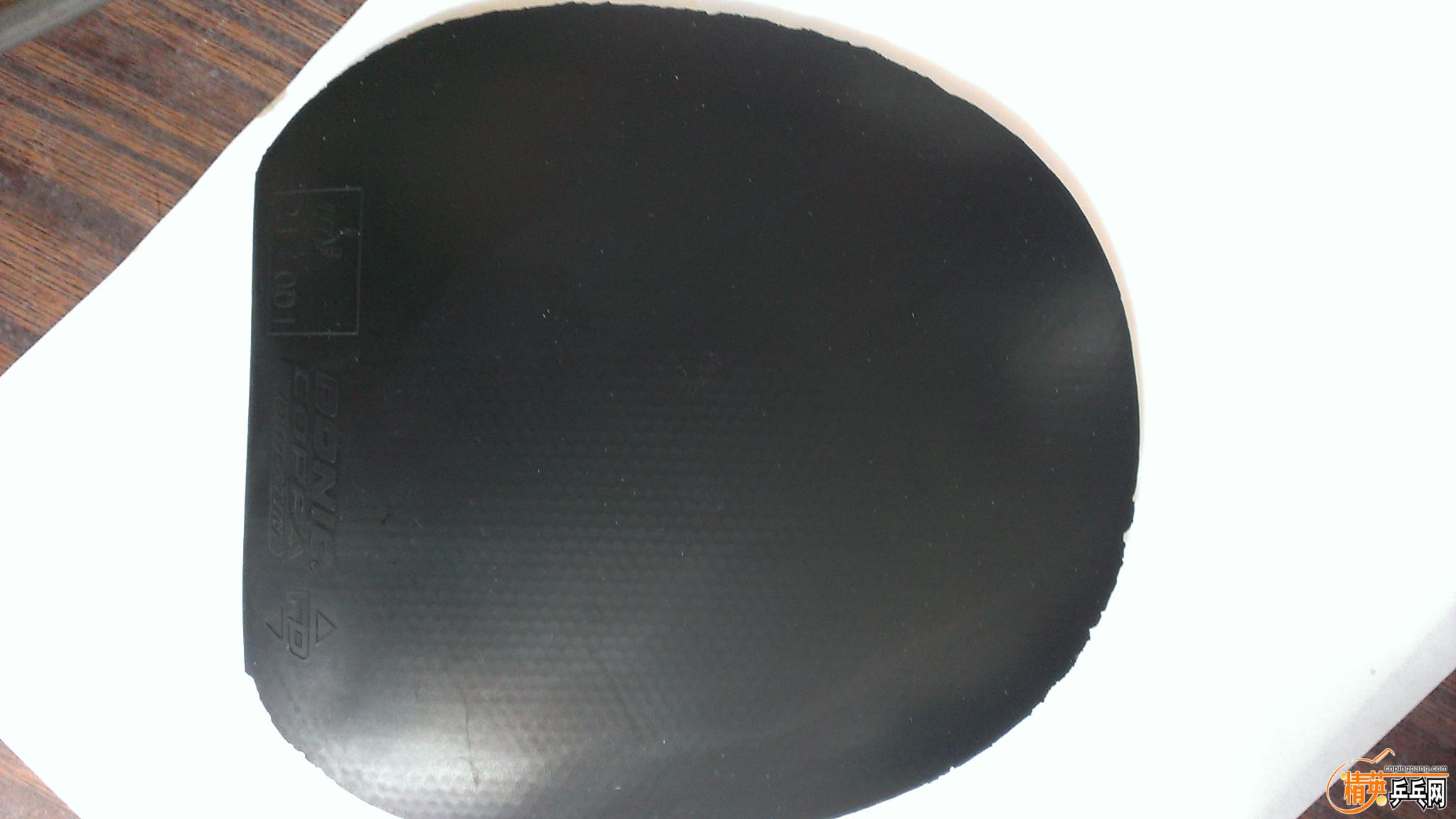 IMAG0054.jpg