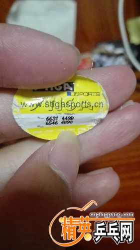 IMG_20170629_224330.jpg