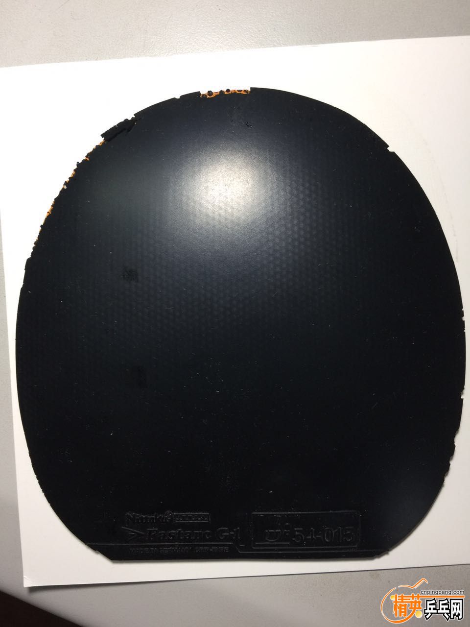 401809810326072413.jpg